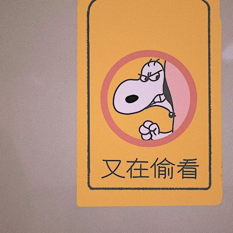 朋友圈背景我跋山涉水我原地不动