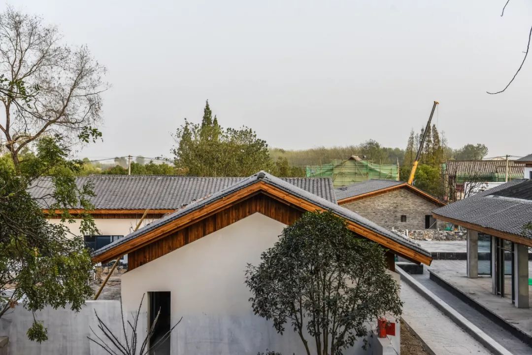 实探丨圩美·磨滩最新美图来袭!生活应如是,将“诗和远方”融入田园梦想~__凤凰网