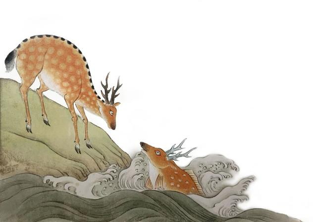 你可知道,海中有鹿有虎还有飞鸟?(上)