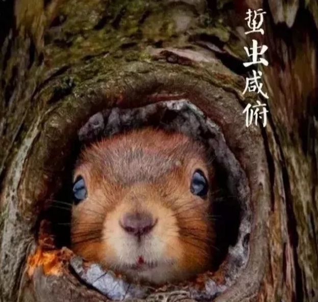 霜降|霜降已到 寒冬将来__凤凰网