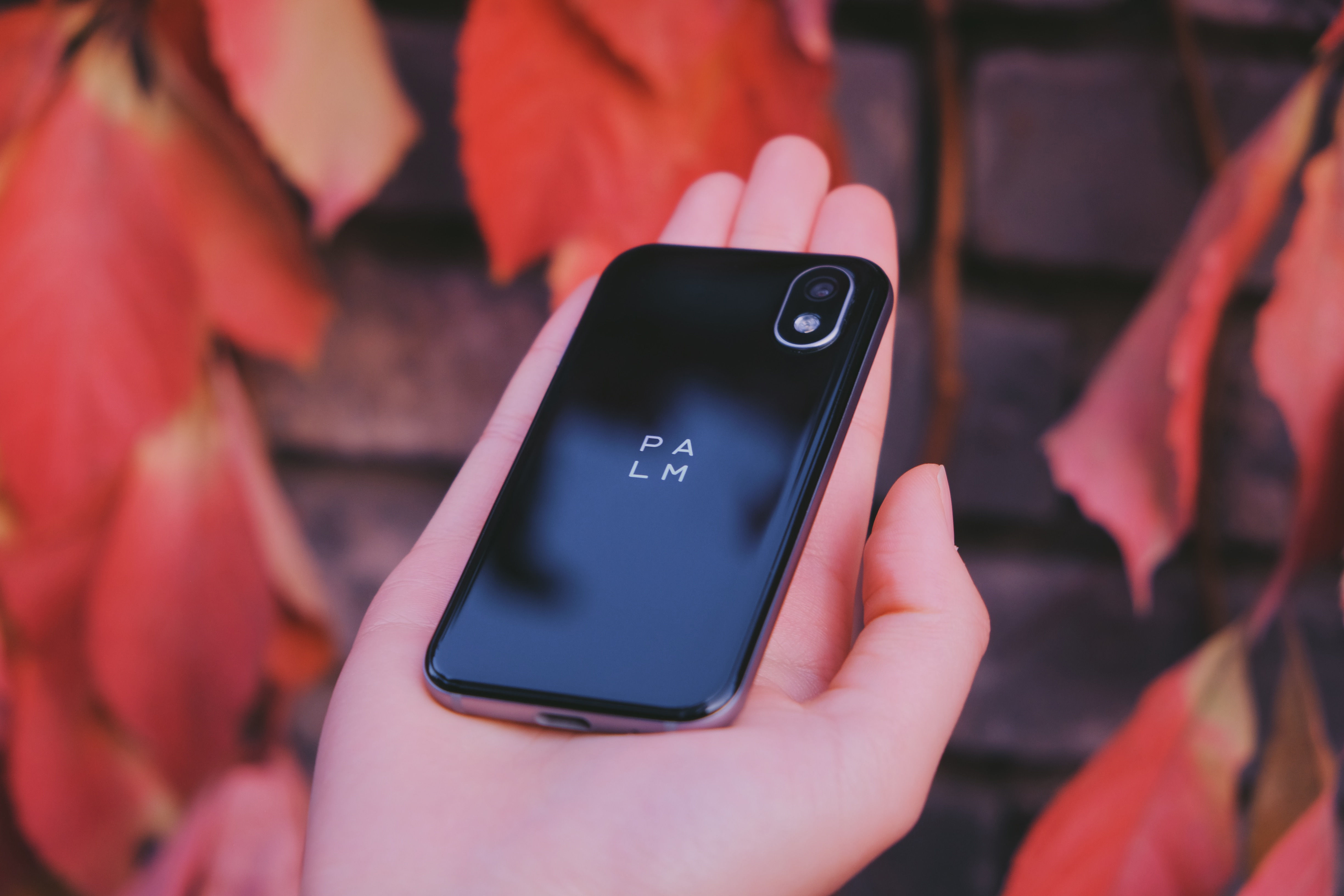 palm 图赏:全球最小的智能手机?