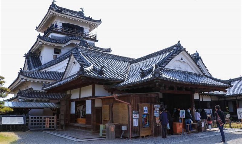 跟随旅行达人带你解锁日本最后一条清流高知县一个美若仙境的城市