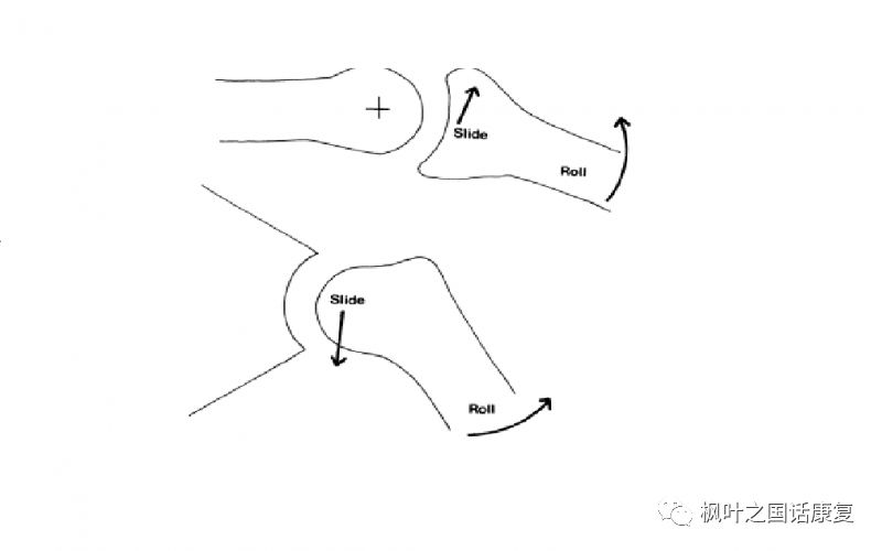 手法治疗的基础技术:麦特兰德技术