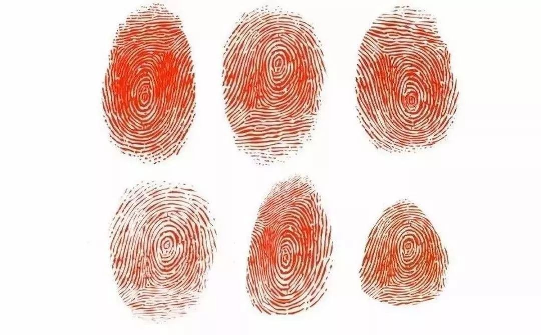 x射线指纹看你还抵赖