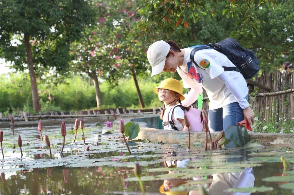 海口广电第二十二期"跳跳鼠"亲子徒步活动照片