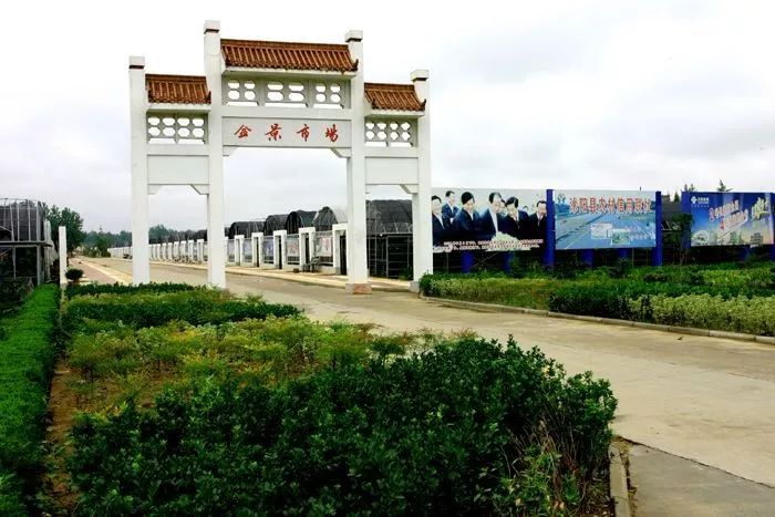 热烈祝贺沭阳县新河镇花木协会成为2019第七届中国沭阳花木节协办单位