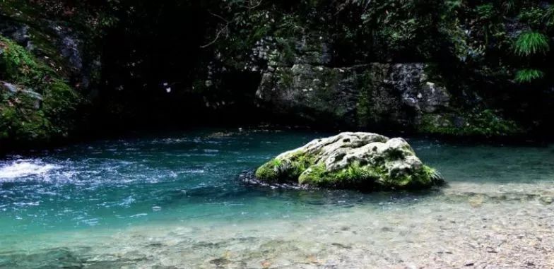 龟息大法:被遗忘的气长命长的修炼之法