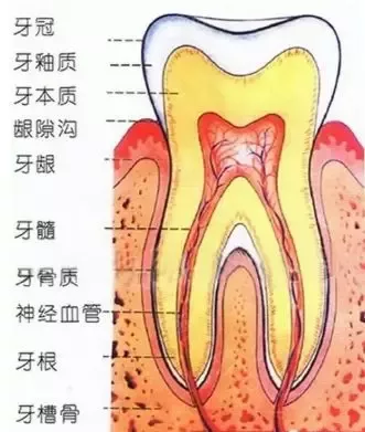 你还在拖吗?