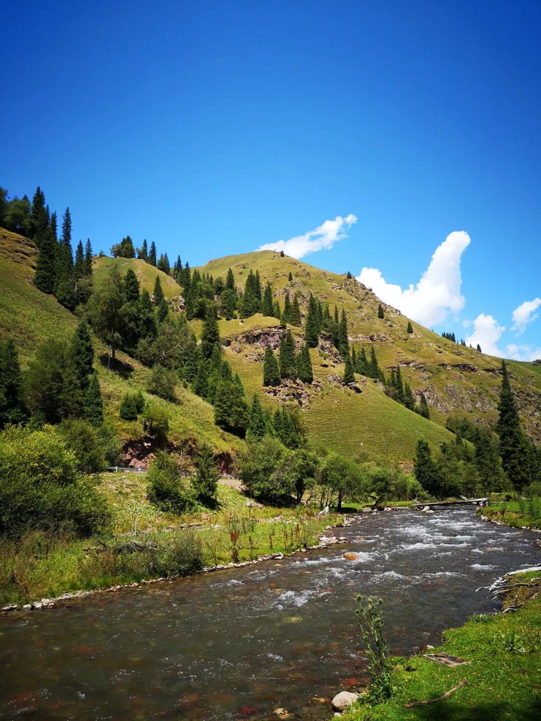 百里画廊唐布拉草原