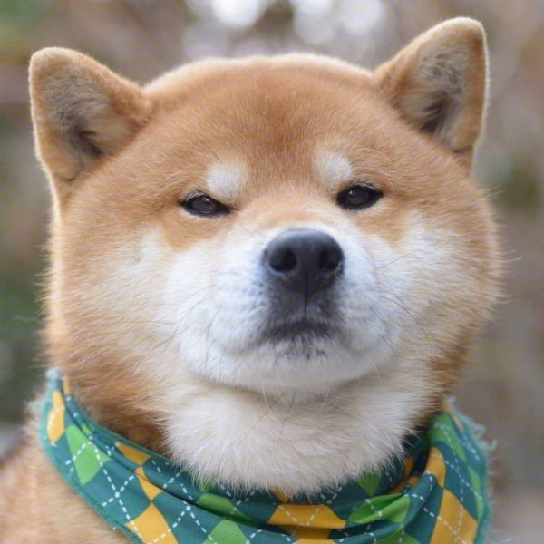 有一种关心叫你的微博被人盯上了