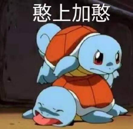杰尼龟表情包合集|让爷好好看看你这个憨批