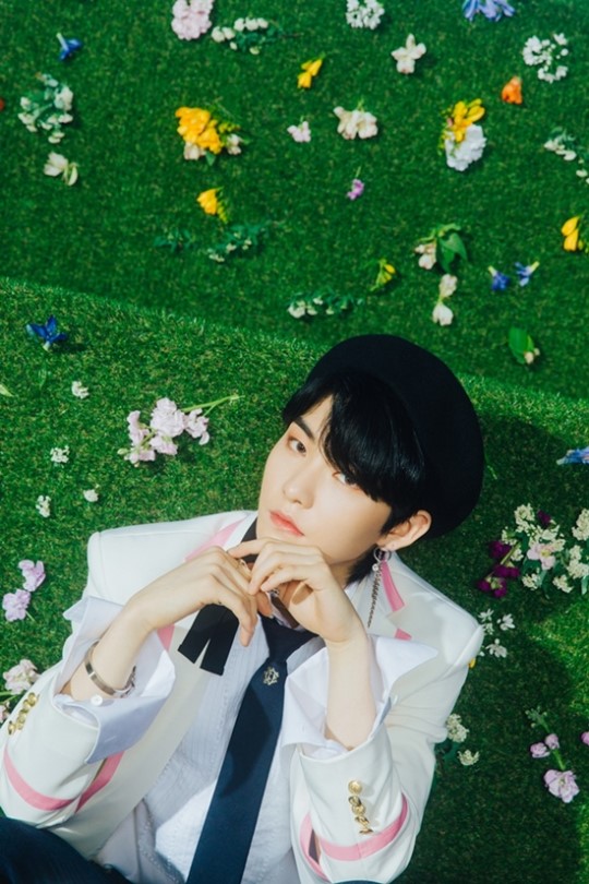 经纪公司表示:"已经和hwall本人和家人以及相关的各