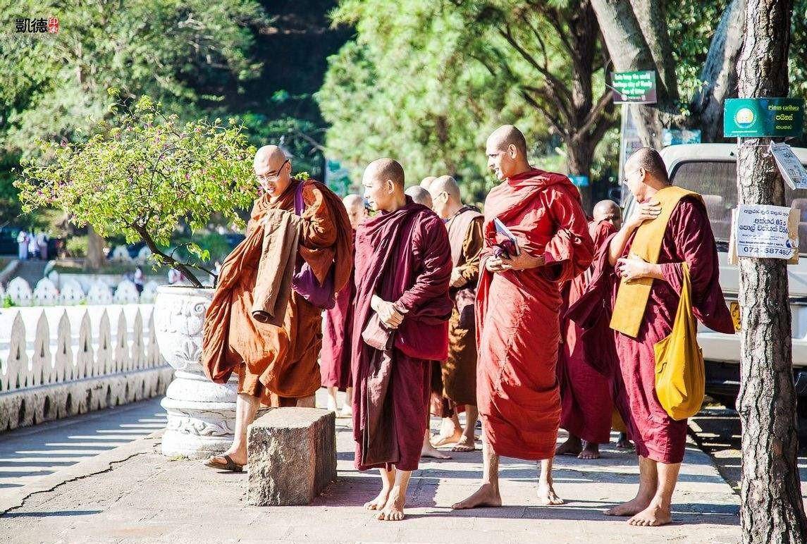 斯里兰卡古称“僧加剌”,是海上丝绸之路的重要中转站__凤凰网