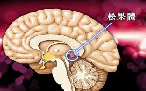 人脑中的一个神秘腺体，竟被称为“第三只眼”！