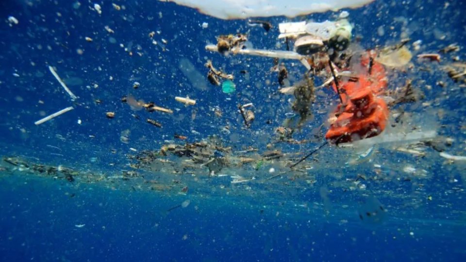 当初我们扔掉的塑料袋,棉签,尿不湿的分解物,在地球上转了一圈之后,又