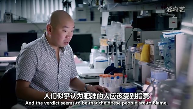 我们为什么变得这么胖这个纪录片或能告诉你答案