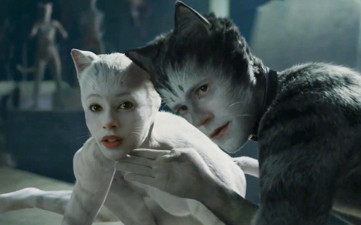 台湾电影毕加索的猫图片
