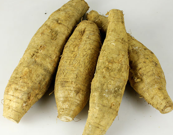 农家自种的新鲜葛根即可生吃又能煲汤老少皆宜