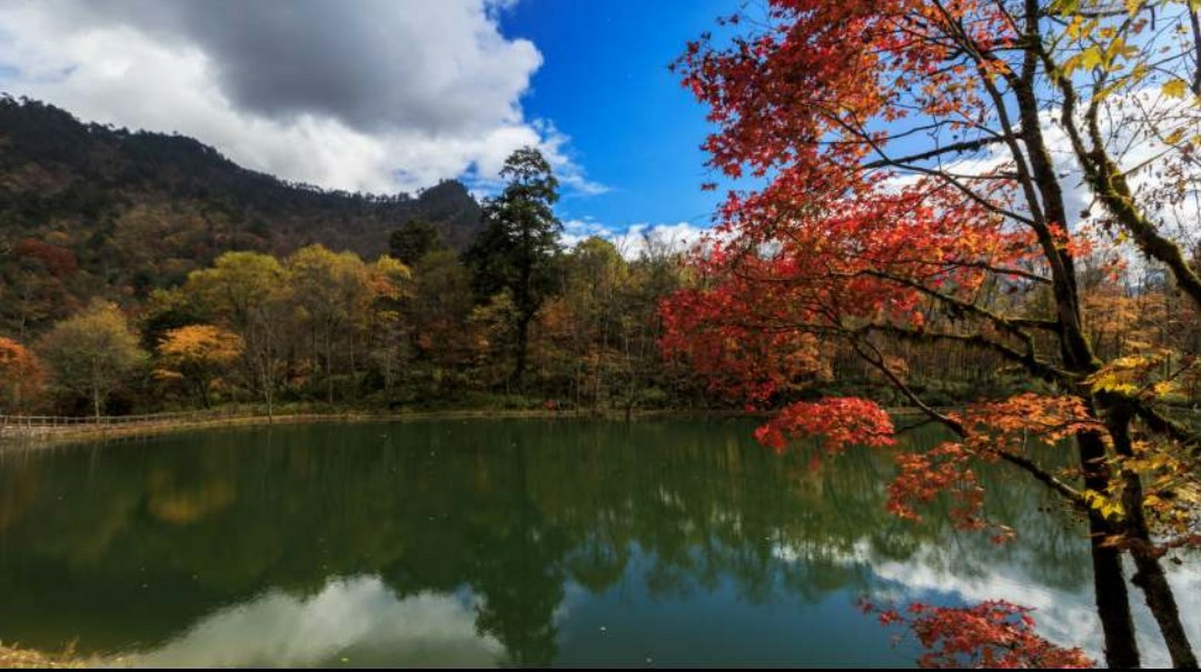 天全人的抖音_天全人的抖音_天全人的抖音