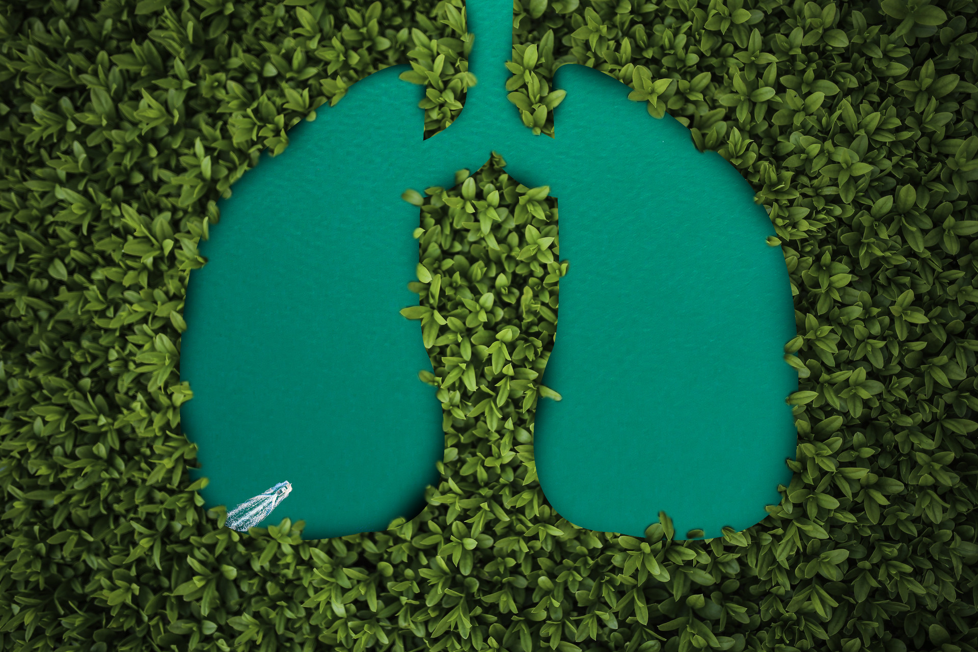 地球之肺亚马逊在燃烧无人机带来降火良方