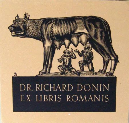 罗马传奇:一只母狼与两个婴儿的故事