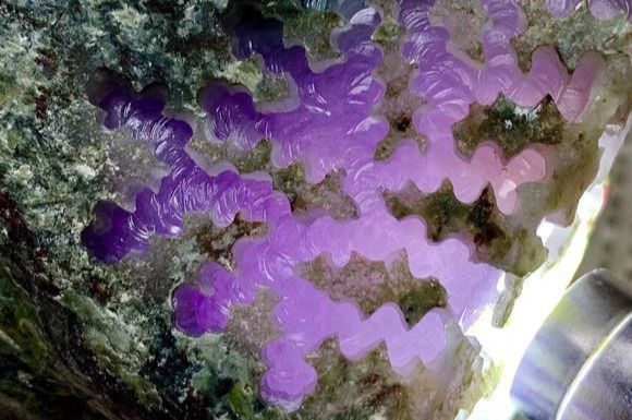 几人合伙花5万元买来的一块翡翠原石,竟切出高冰紫罗兰__凤凰网