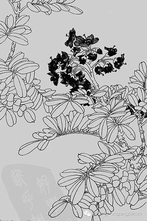 书画鉴赏丨叶永昶白描花鸟作品