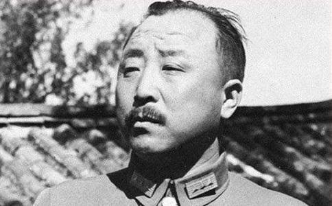 国军辽沈战役失败谁负责卫立煌一个光杆司令让他怎么负责