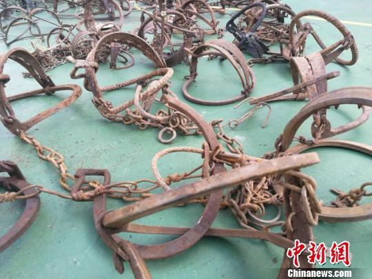 云南宁洱打击非法猎捕 收缴猎捕工具700余件