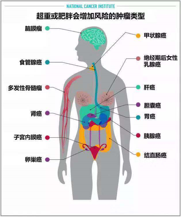 什么会增加癌症风险呢——林洪生工作室钱瑞琴说__凤凰网