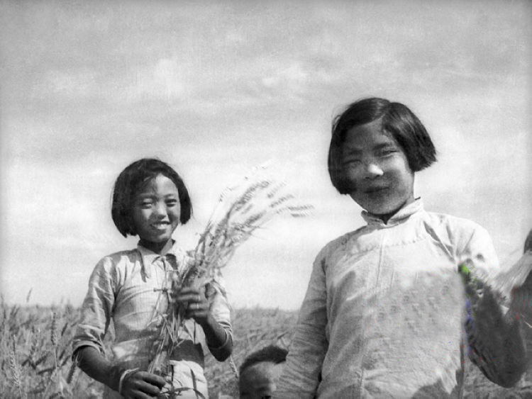 抗战时期有没有不杀人不干坏事的日本鬼子