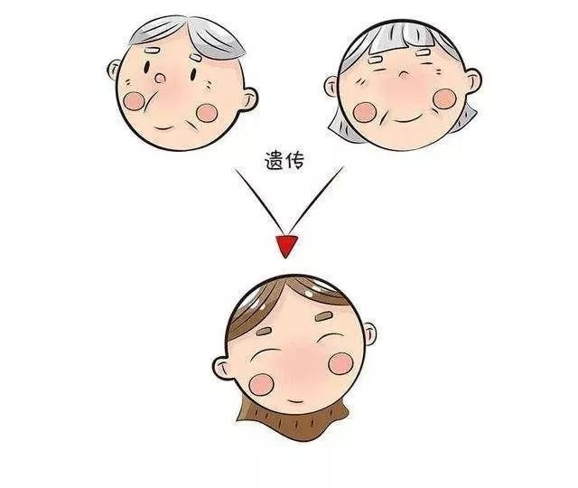 秃顶是不是会隔代遗传答案是肯定的