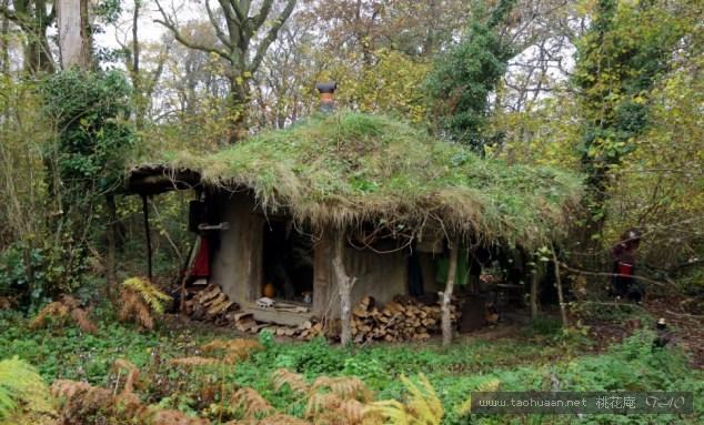 故事憨小子意外娶了媳妇发现是狐狸化身找到老和尚后乐了