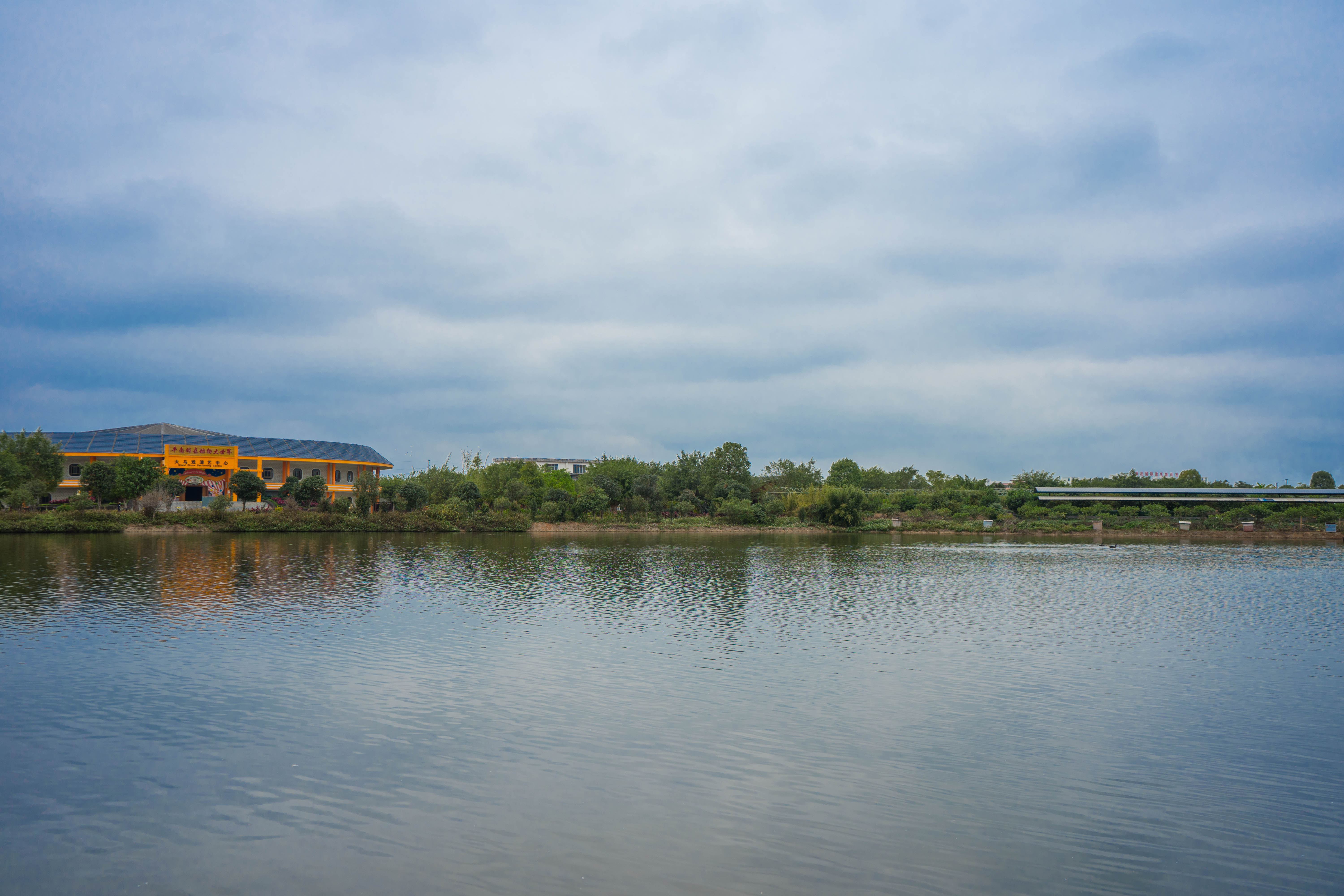 厉害了,在贵港平南县有一个动物大世界,可以看大马戏表演