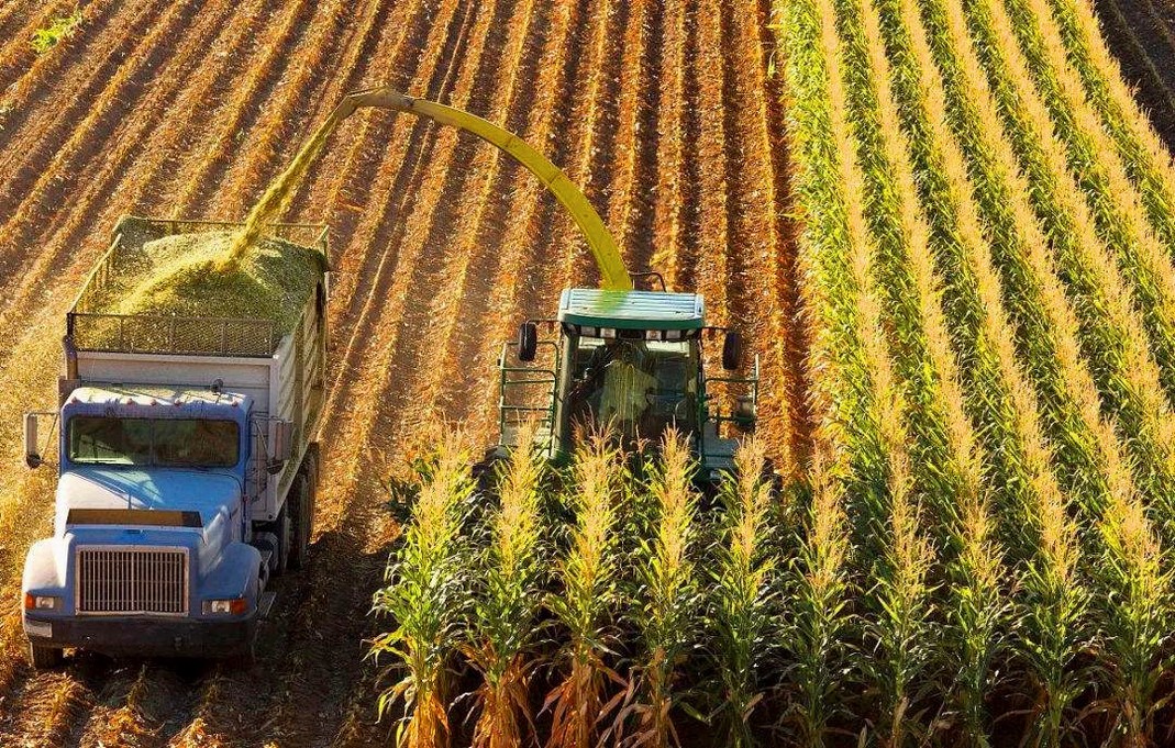 玉米马上就要收获了,农民如何来存贮呢?下面几点准备工作要做好