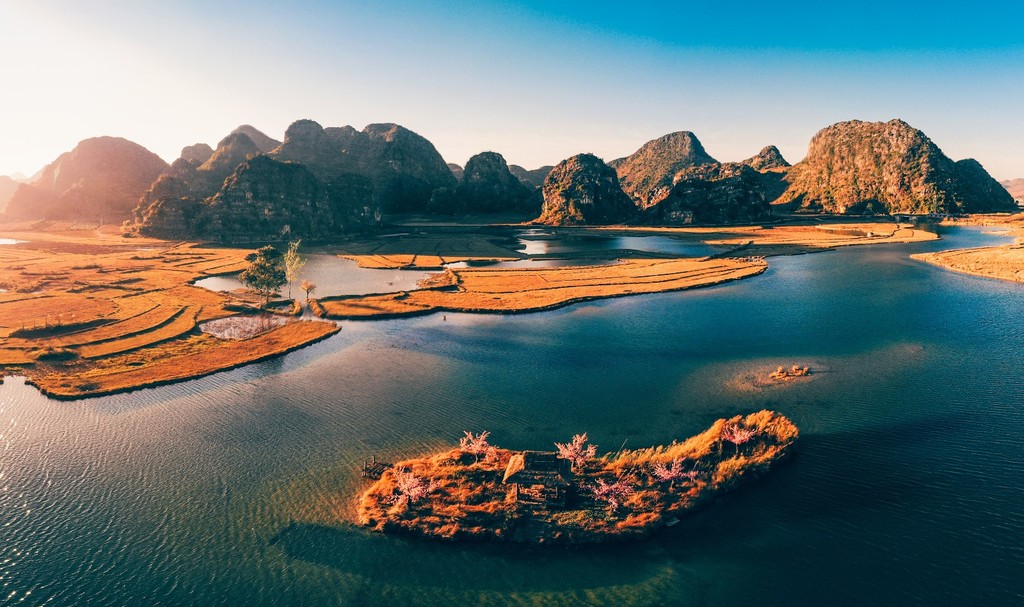 三生三世十里桃花