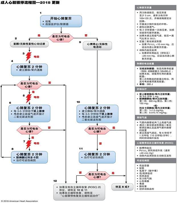 资讯传播心脏骤停正确抢救__凤凰网