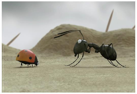 红黑蚂蚁大战黑蚁军团损失惨重却被一只瓢虫所救