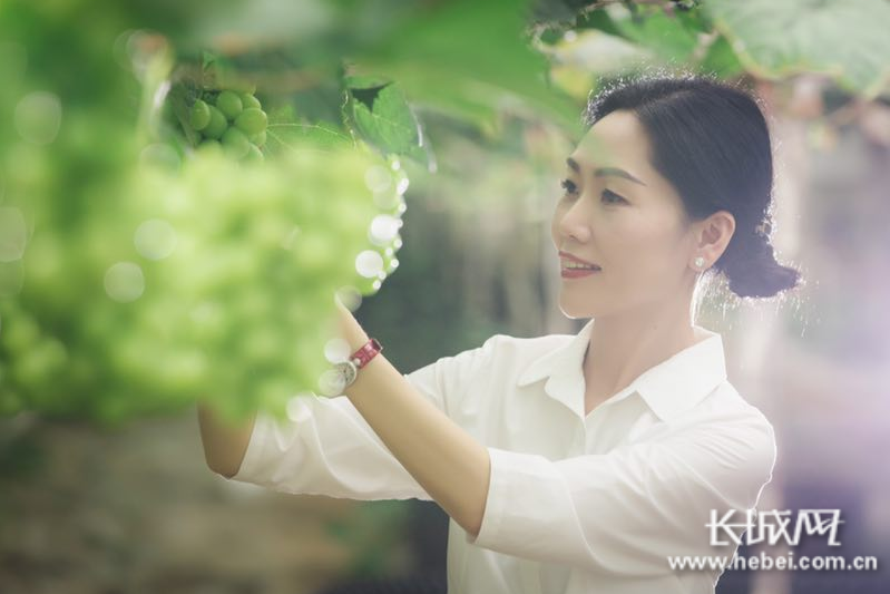 百果园ceo徐艳林生鲜行业将洗牌得消费者得市场