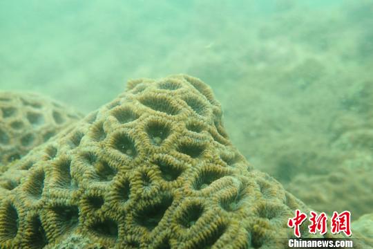 国内核电行业首份生物多样性保护报告发布