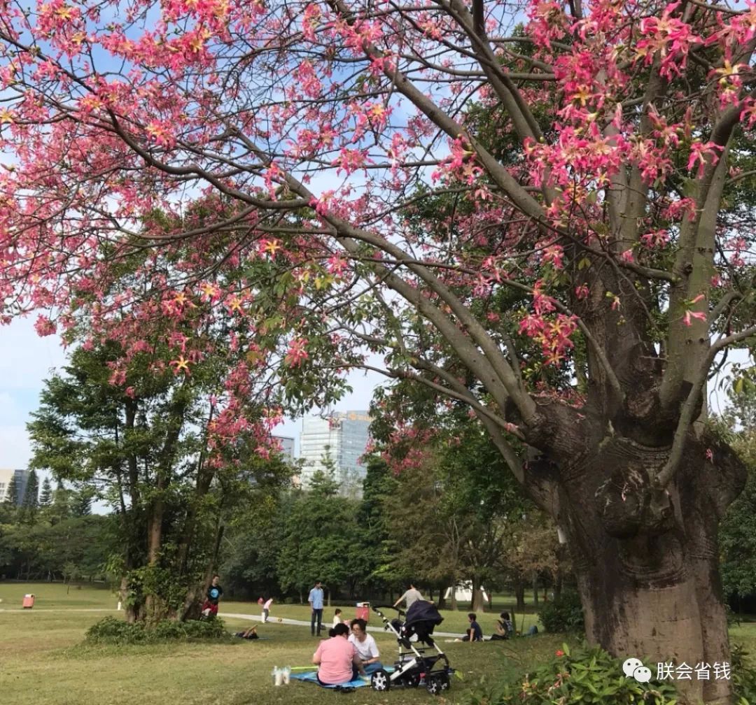 深圳這4個冷門主題公園只有10的人知道