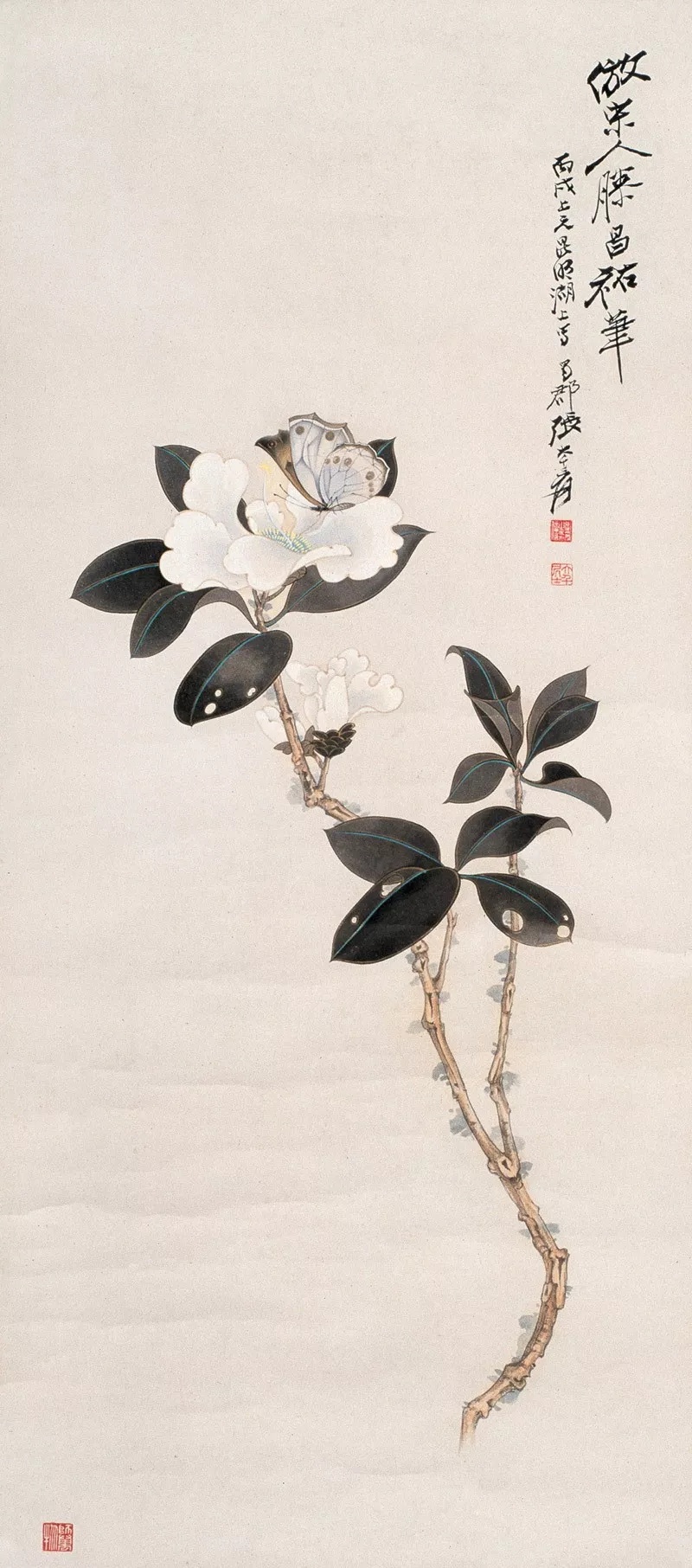 张大千花鸟画高清100幅