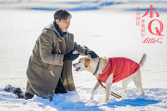 《小q》公映四大看点 终极陪伴告白暖化金秋