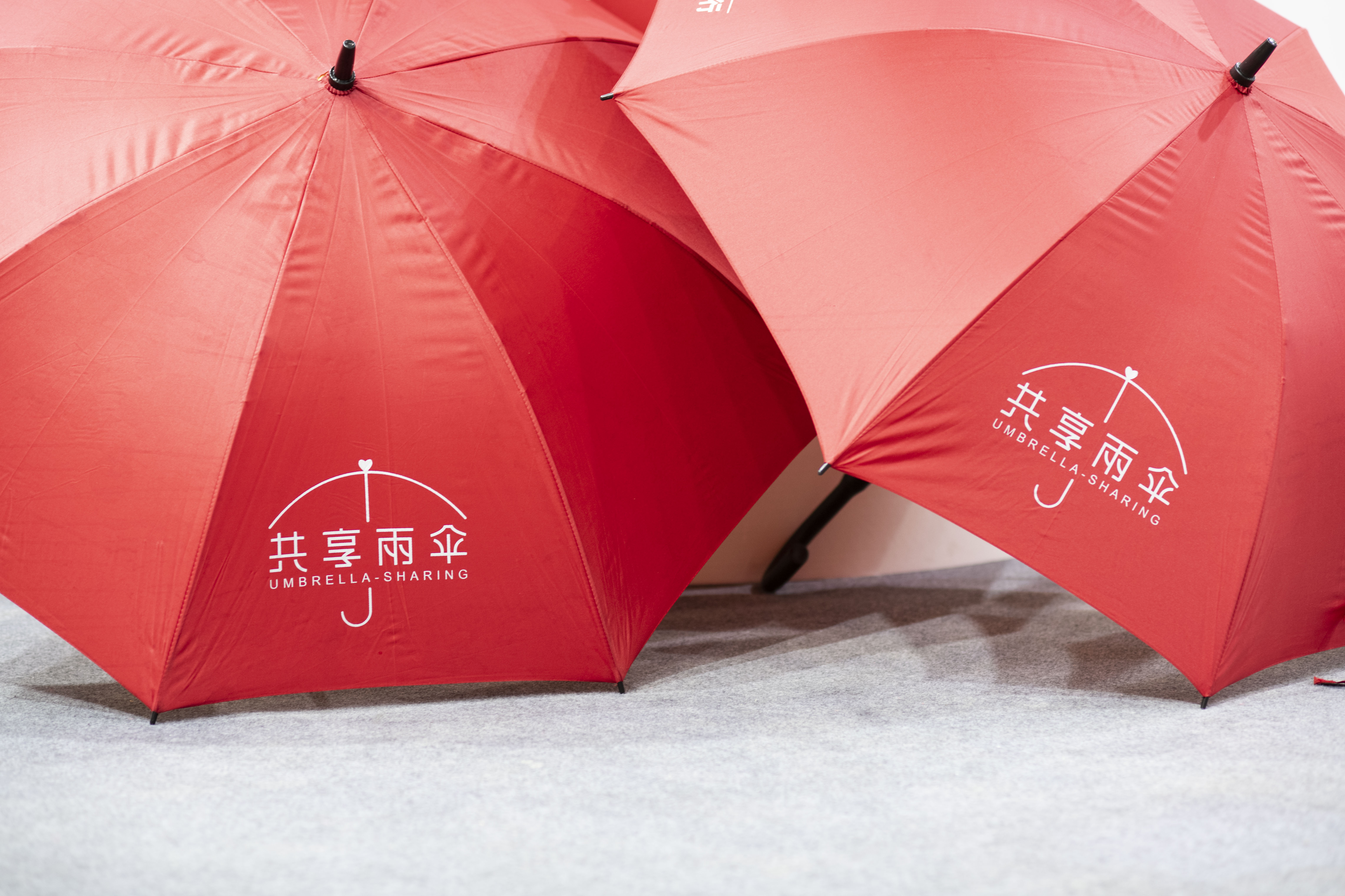 2019年头部玩家已实现盈利共享雨伞或诞生独角兽