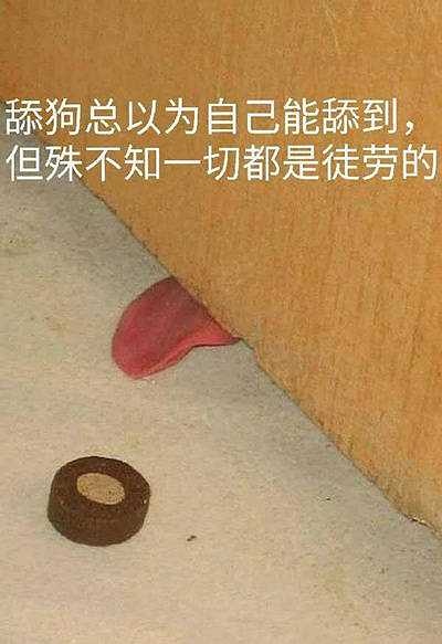 这里小编只想送给这类男生一句最近流行的话:舔狗舔到最后一无所有