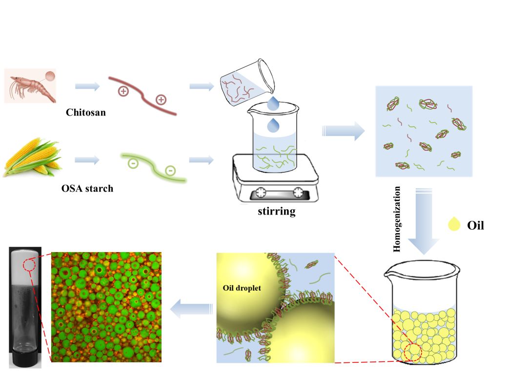 南昌大学邹立强与周伟在jafc发表关于调控界面吸附行为构建高内相乳液
