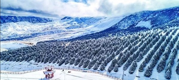 雪后的特克斯达坂