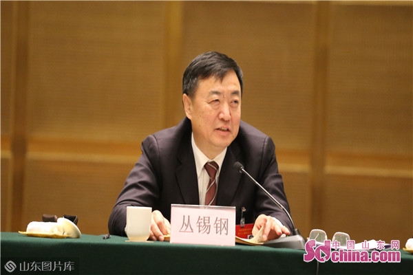 丛锡钢参加市政协十二届四次会议少数民族界宗教界联组讨论