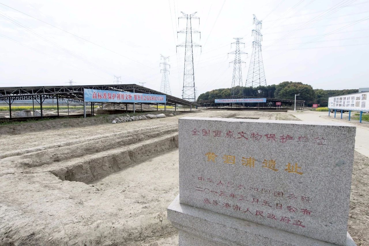 鉴真东渡日本从哪出发的这个千年悬案被农林公司的员工解开了