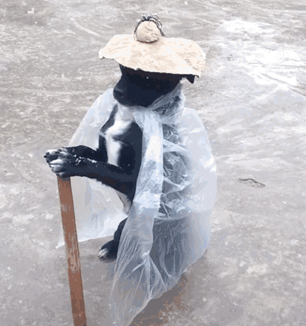 每个狗子心中都有一个侠客梦